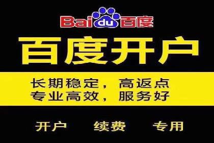 跨行业SEM广告投放的多样化案例分析
